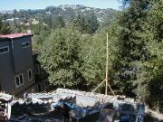 Forrest_050915_23
