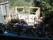 forrest_051005-16